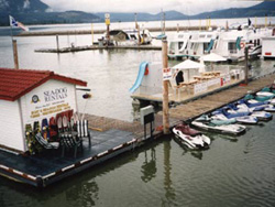 Sea-Dog1